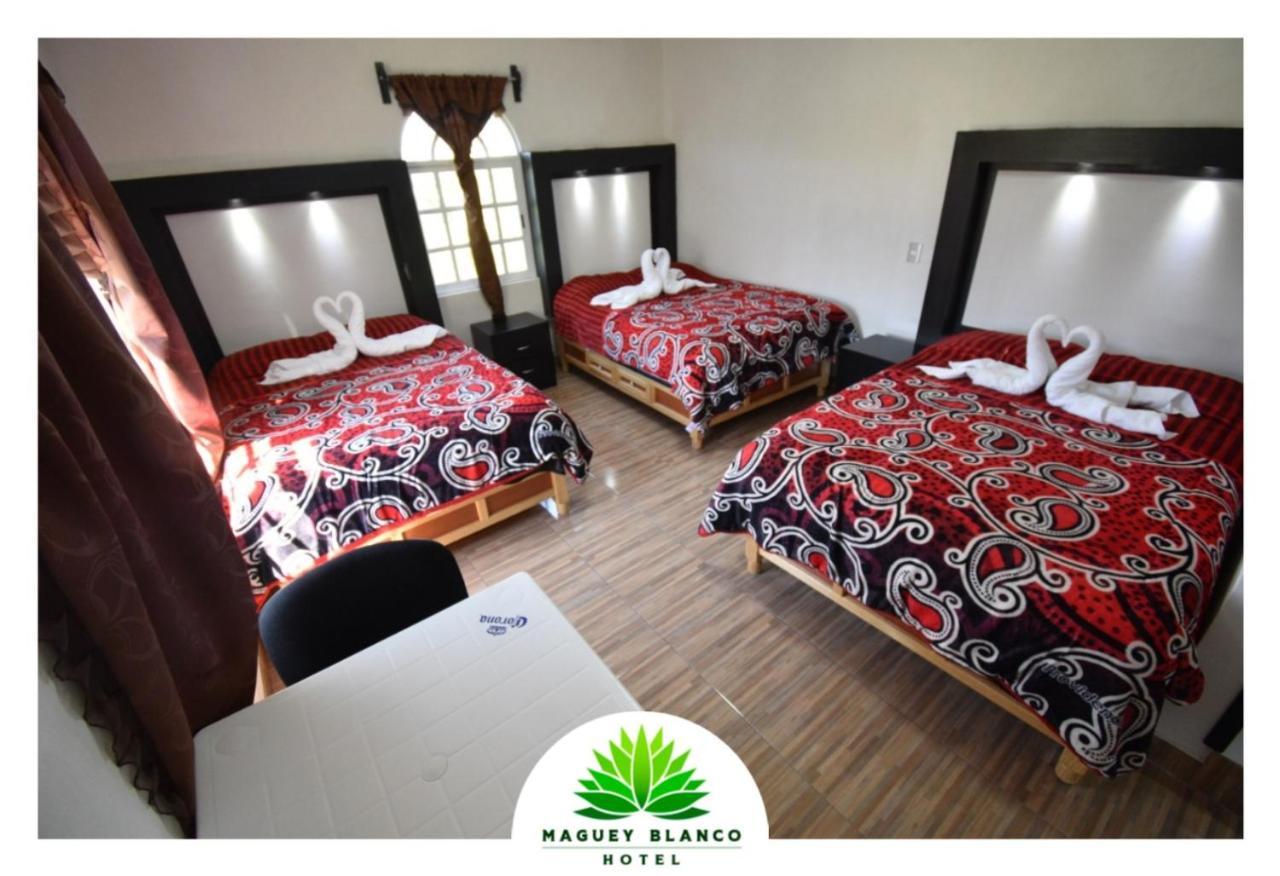 Hotel Maguey Blanco Ixmiquilpan Buitenkant foto