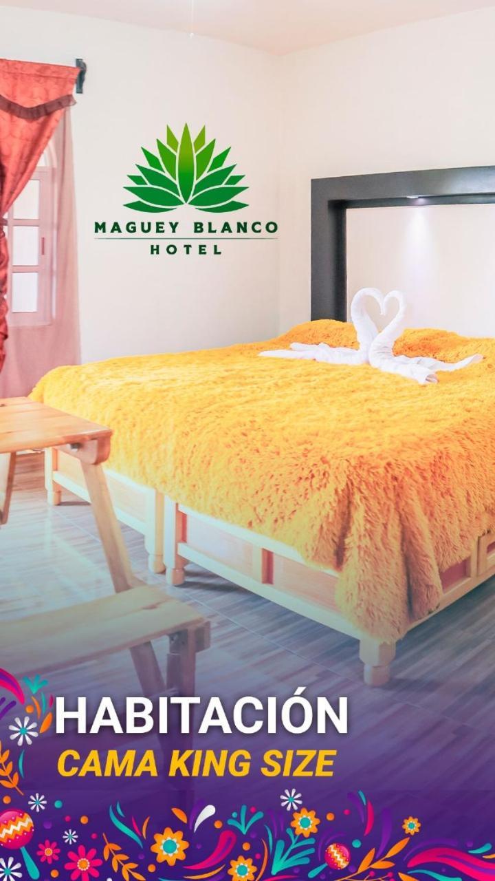 Hotel Maguey Blanco Ixmiquilpan Buitenkant foto